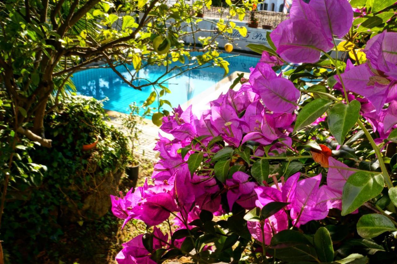 Villa Cinque Pini Casamicciola Terme Екстер'єр фото