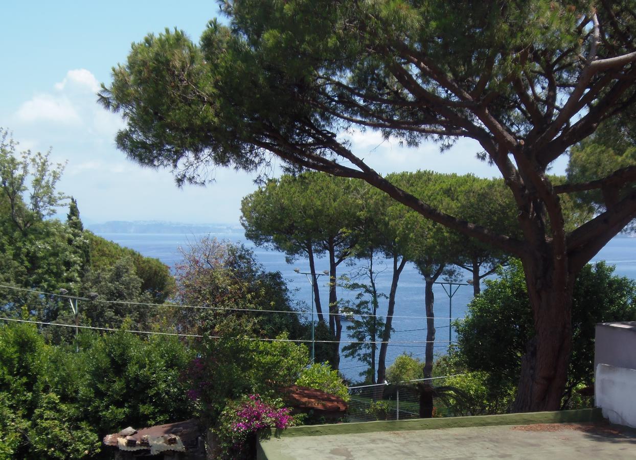 Villa Cinque Pini Casamicciola Terme Екстер'єр фото